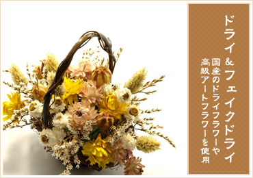 �ɥ饤���ե������ɥ饤