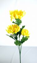 �ޥࣳ�غ餭�ʥ���������