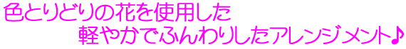 FƂǂ̉Ԃgpy₩łӂ肵AWg