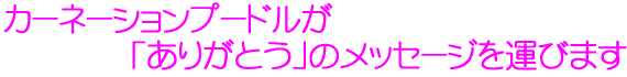 J[l[Vv[hu肪ƂṽbZ[W^т܂