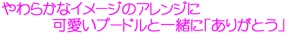 炩ȃC[W̃AWɉv[hƈꏏɁu肪Ƃv