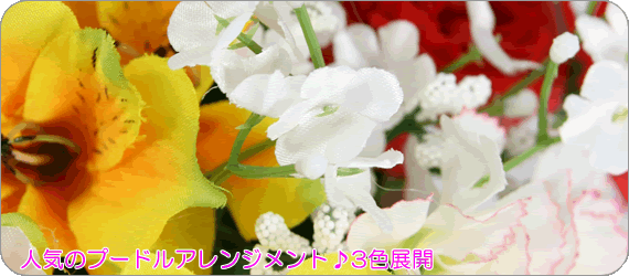 veB[EJ[l[Vv[hibh~CG[jb