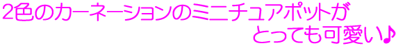 QF̃~j`A|bgƂĂ