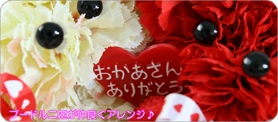 �y��̓��A�����W�����g�z�c�C���v�[�h��b