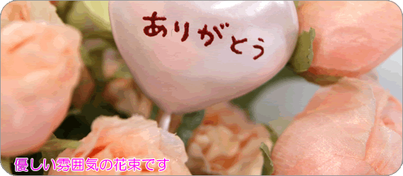 y̓ԑz\tgEn[gis[`~N[T[jb