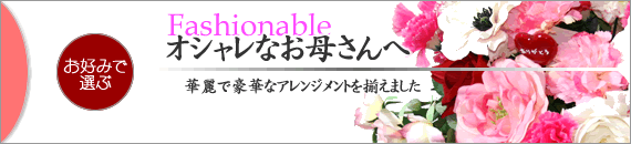 ΃J[l[VIIȕ