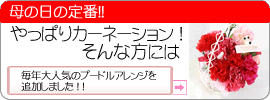 ̓̒ԃv[hAW