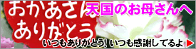 V̂ꂳ֕̓̃v[g