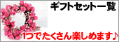̓̃MtgZbgꗗ