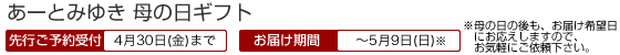母の日ギフト