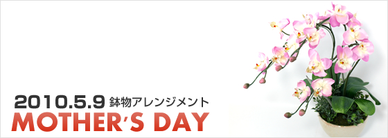 2010年5月9日の母の日ギフト