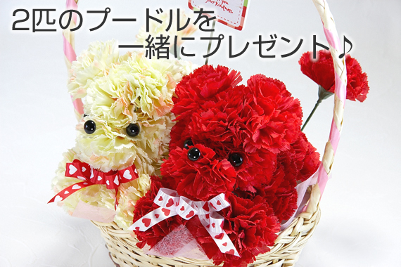 �y��̓��A�����W�z�v�[�h���E�f���I