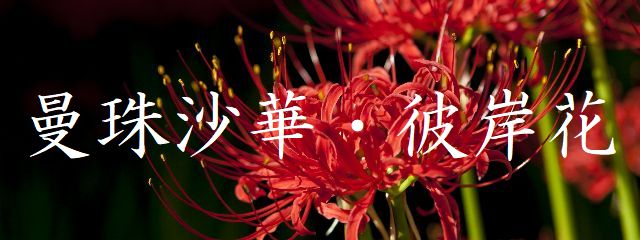 造花・アーティフィシャルフラワー専門店 あーとみゆき