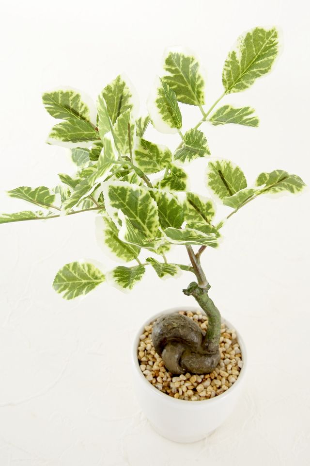 造花 観葉植物 ハッピーツリーポット インテリアグリーン 造花 アートフラワーのアレンジ あーとみゆき