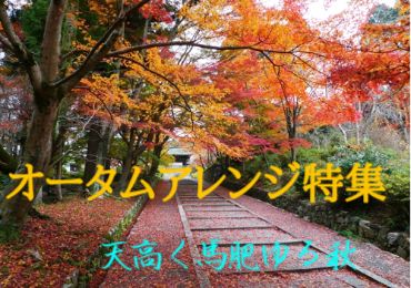 秋のアレンジメント特集