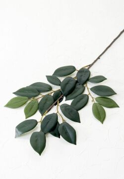 【造花・アートフラワー】榊(サカキ)M