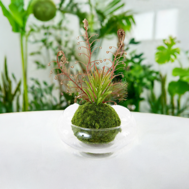 【造花 観葉植物 インテリアグリーン】こけ玉 ジャパニーズモダンアレンジメント（ガラス水盤花器付き）C