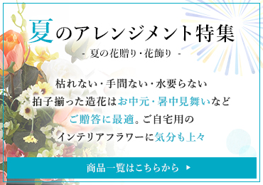 夏のアレンジメント特集