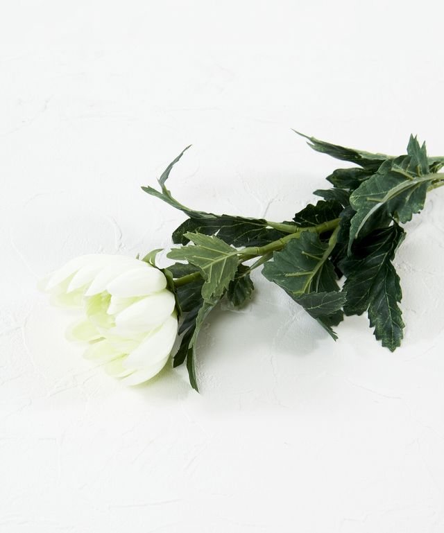 【造花・アートフラワー・シルクフラワー】菊（クリーム）