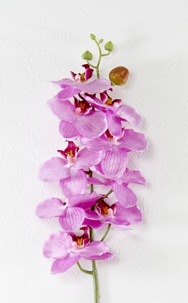 【造花・アートフラワー・シルクフラワー】オーキッド・胡蝶蘭（パープル）