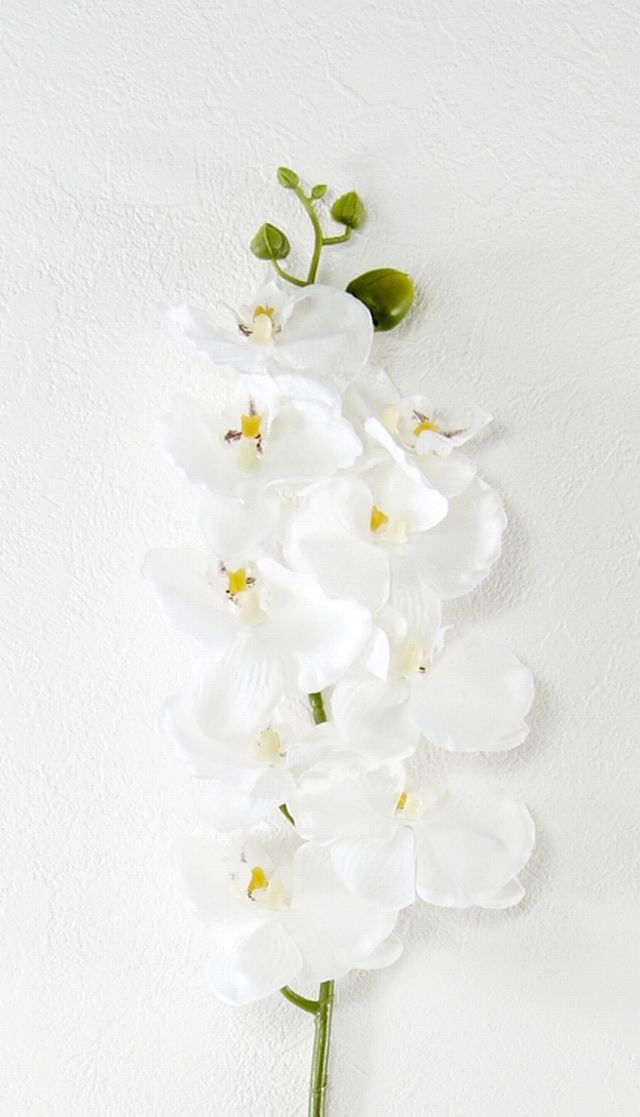 【造花・アートフラワー・シルクフラワー】オーキッド・胡蝶蘭（ホワイト）